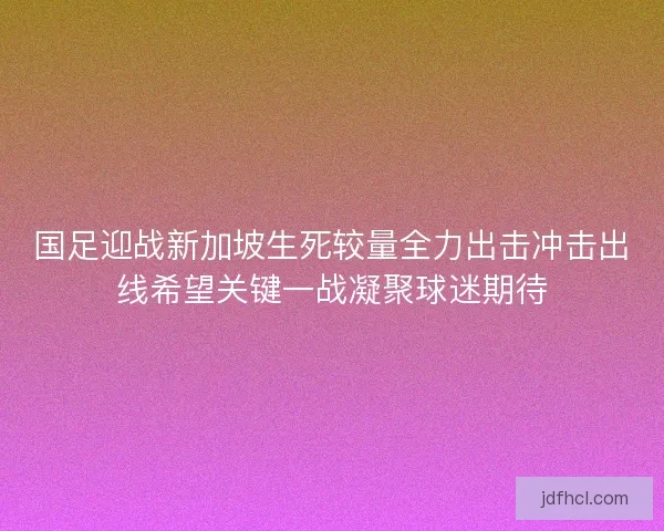 国足迎战新加坡生死较量全力出击冲击出线希望关键一战凝聚球迷期待