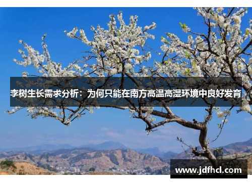 李树生长需求分析：为何只能在南方高温高湿环境中良好发育