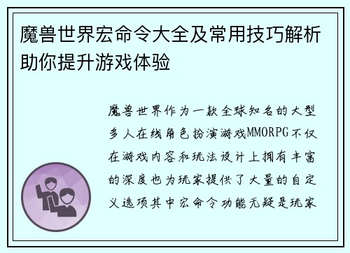 魔兽世界宏命令大全及常用技巧解析助你提升游戏体验